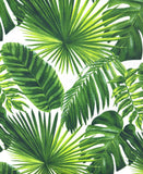 Palm Leaves fabric (green)