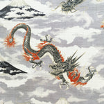 Dragons & Mountains fabric