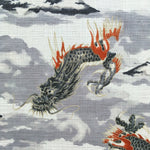 Dragons & Mountains fabric