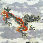 Dragons & Mountains fabric