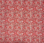 Hyde Floral (Winter) Liberty fabric
