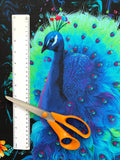Peacock fabric panel (rainbow)