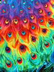 Peacock fabric panel (rainbow)